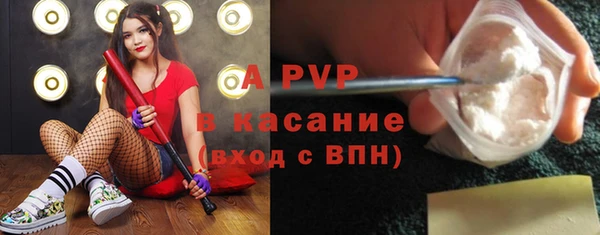 ешки Алексин