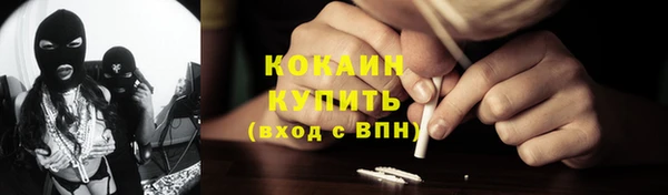 соль ск Алзамай