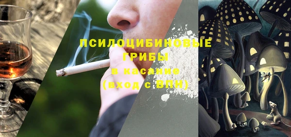 ешки Алексин
