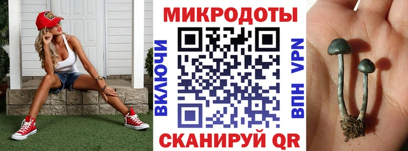Галлюциногенные грибы Magic Shrooms  Данилов 
